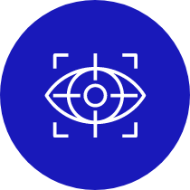 vision